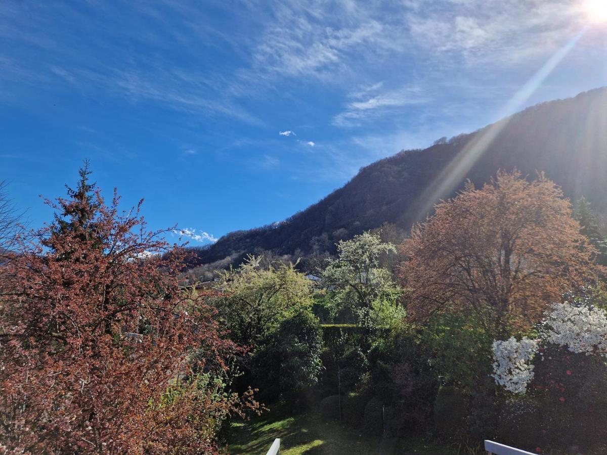 Hotel Zelindo Losone Exterior foto