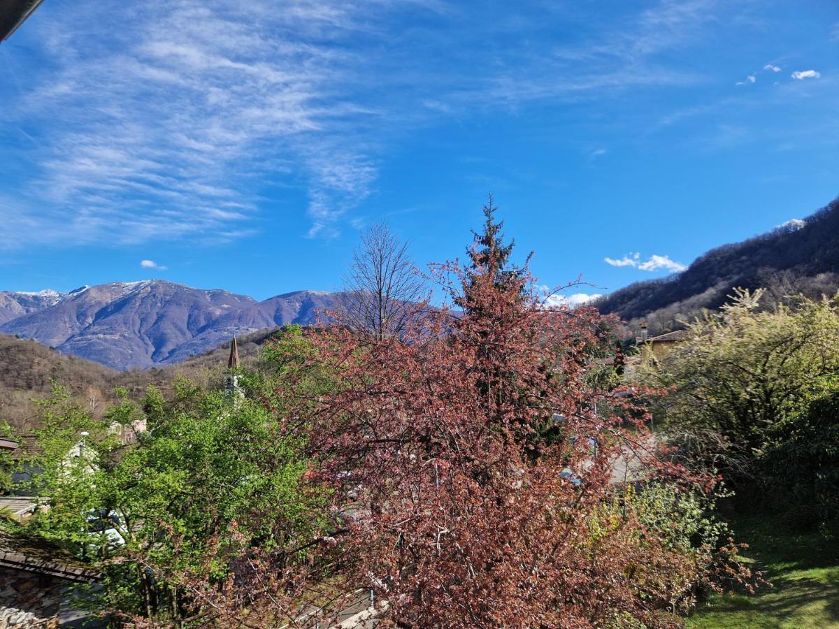 Hotel Zelindo Losone Exterior foto